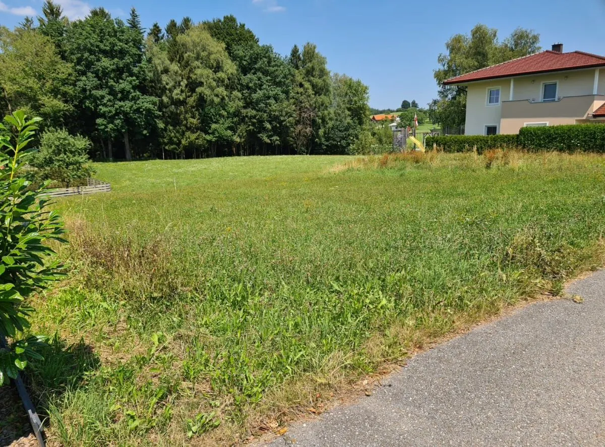 950m² Baugrund | kein Bauzwang