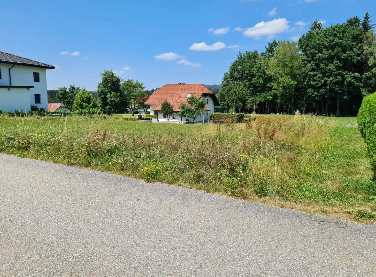 950m² Baugrund | kein Bauzwang - Ansicht 2