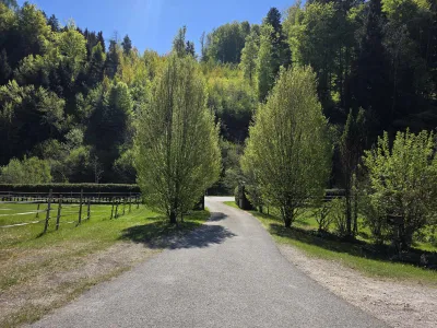 Gewerbeimmobilie kaufen in Gmunden – 170 m², € 980.000 – Bild 18 von 29