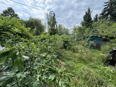 Grundstück kaufen in Wien – 844 m², € 719.000 – Bild 6 von 14