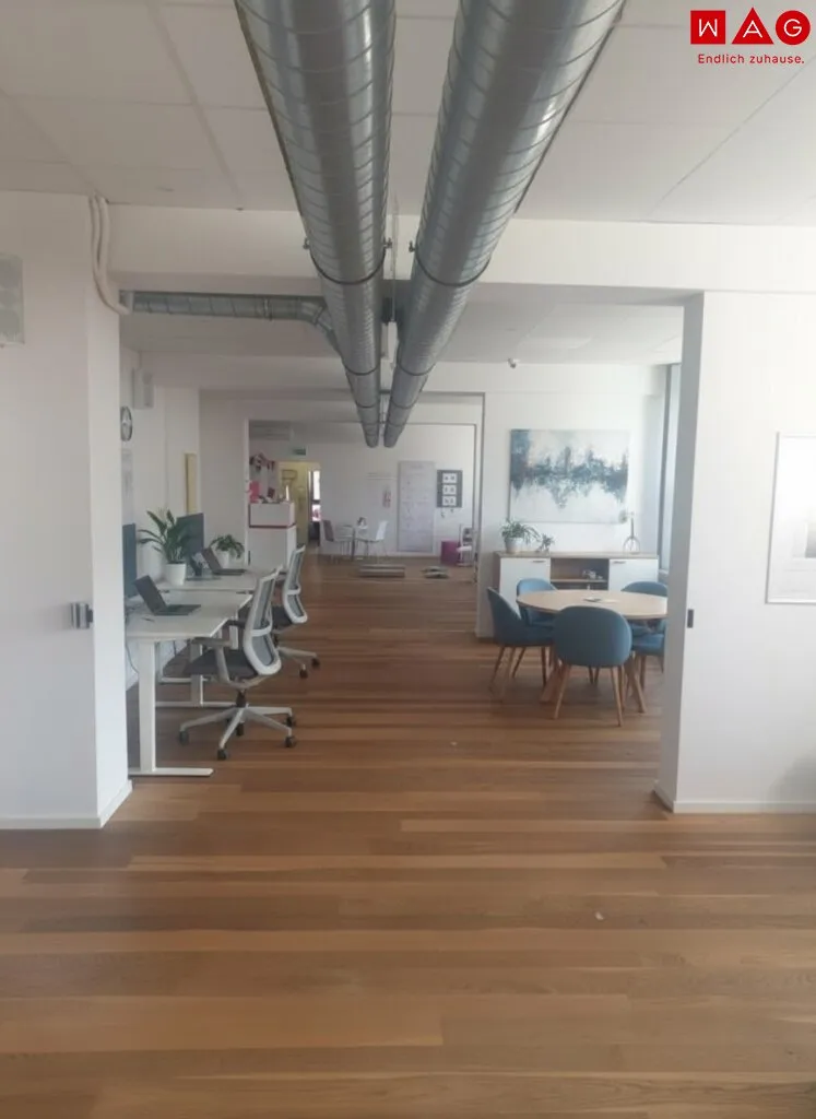 MARKT AM BINDERMICHL: Generalsanierte klimatisierte Büro-/Ordi-/Studiofläche mit bestem Preis-/Leistungsverhältnis - verschiedenste Aus-/Umbaumöglichkeiten - flexible Grundrissgestaltung - leistungs - Ansicht 2
