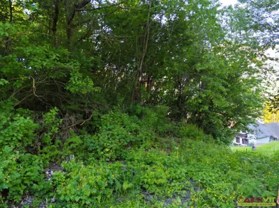 10-Zimmer-Haus kaufen in Villach Land – 227 m², € 259.000 – Bild 21 von 30