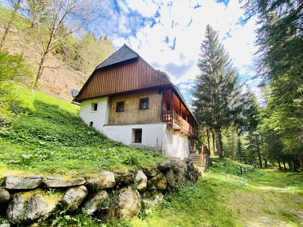 Pusterwald: zurück zum Ursprung - Wohnhaus in idyllischer Lage - Ansicht 3