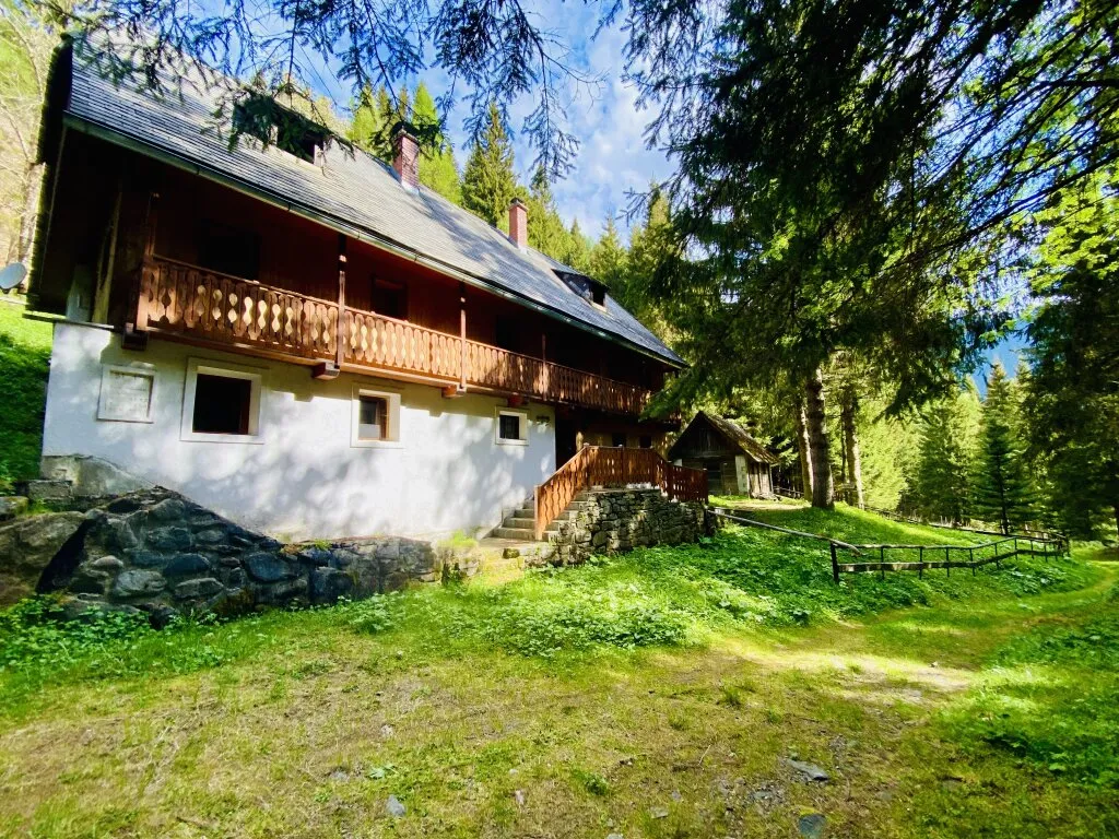 Pusterwald: zurück zum Ursprung - Wohnhaus in idyllischer Lage - Ansicht 2