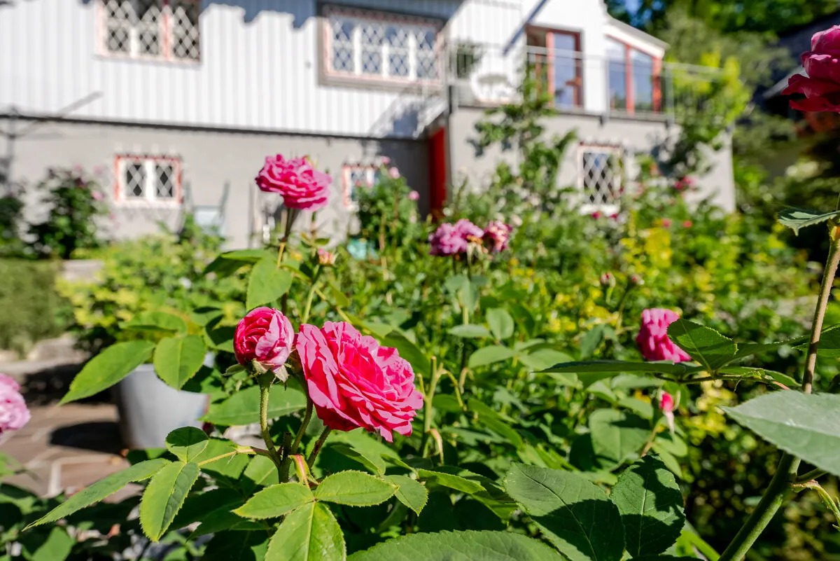 Villa "Rose" - Ansicht 3