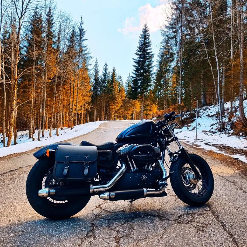 Harley-Davidson Sportster