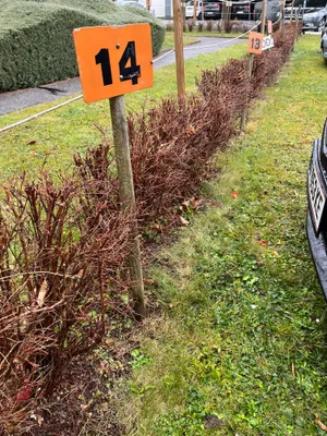 2-Zimmer-Wohnung mieten in Graz-Umgebung – 50 m², € 690 – Bild 15 von 15