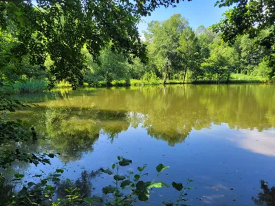 Grundstück kaufen in Oberwart – 11 000 m², € 314.900 – Bild 7 von 7