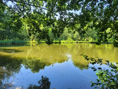 Grundstück kaufen in Oberwart – 11 000 m², € 314.900 – Bild 2 von 7