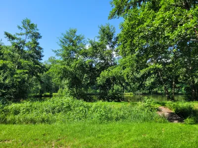 Grundstück kaufen in Oberwart – 11 000 m², € 314.900 – Bild 5 von 7