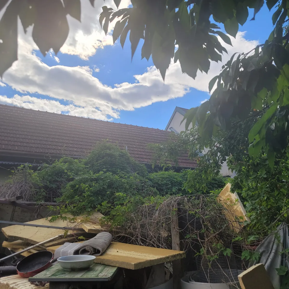 Haus – Kirchberg am Wagram, Mitterstockstall - Ansicht 3