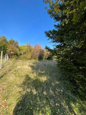 5-Zimmer-Haus kaufen in Korneuburg – 92 m², € 750.000 – Bild 8 von 19