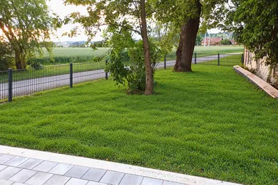 3-Zimmer-Wohnung mieten in Schärding – 112 m², € 1.332 – Bild 24 von 36