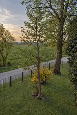 3-Zimmer-Wohnung mieten in Schärding – 112 m², € 1.332 – Bild 17 von 36