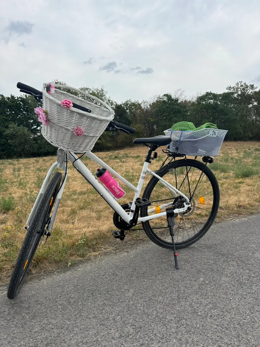 fahrradsattel kurze nase GORIX Kurzer Fahrradsattel, Nase, Stoßdämpfung, Rennrad, Cyclocross Gravel Minivelo (GX-SA370) Sport & Freizeit Cube Bikes, Herrenfahrrad gebraucht T6.1 Rahmenhöhe:48 cm