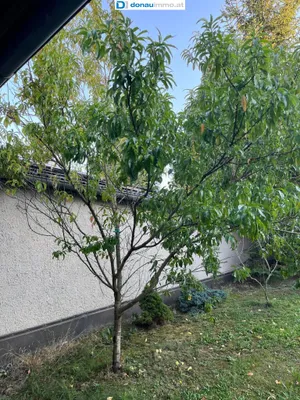 3-Zimmer-Haus kaufen in Oberpullendorf – 61 m², € 159.000 – Bild 31 von 33