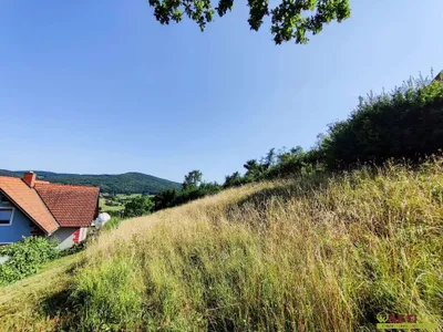 Grundstück kaufen in Südoststeiermark – 3 712 m², € 170.000 – Bild 2 von 8