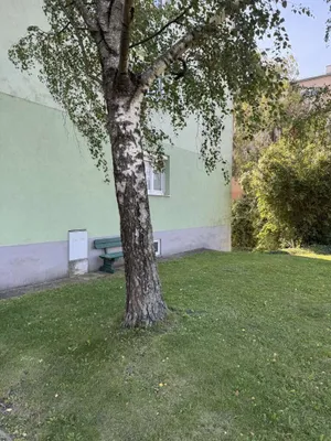 1-Zimmer-Wohnung kaufen in Wiener Neustadt – 45 m², € 195.000 – Bild 10 von 17
