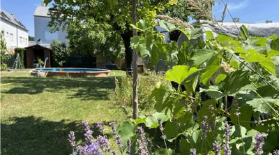 5-Zimmer-Haus mieten in Wien – 167 m², € 2.300 – Bild 2 von 24