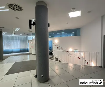 Gewerbeimmobilie mieten in Wien – 470 m², € 10.105 – Bild 3 von 8