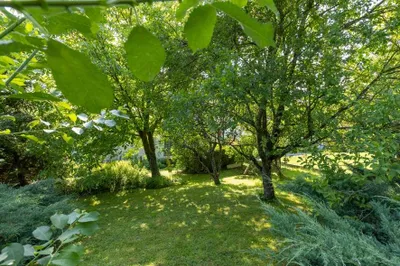 5-Zimmer-Haus kaufen in Steyr-Land – 144 m², € 345.000 – Bild 17 von 17
