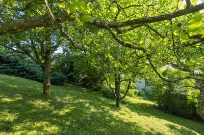 5-Zimmer-Haus kaufen in Steyr-Land – 144 m², € 345.000 – Bild 16 von 17