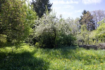 Haus kaufen in Baden – 294 m², € 600.000 – Bild 14 von 17