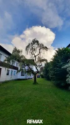 5-Zimmer-Haus kaufen in Melk – 110 m², € 198.000 – Bild 19 von 25