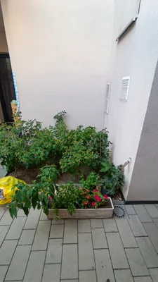 2-Zimmer-Wohnung mieten in Wien – 55 m², € 873 – Bild 23 von 23