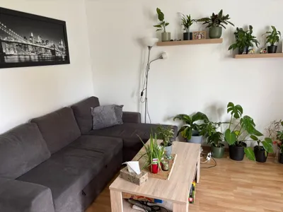 1-Zimmer-Wohnung mieten in Sankt Pölten Land – 46 m², € 470 – Bild 9 von 14