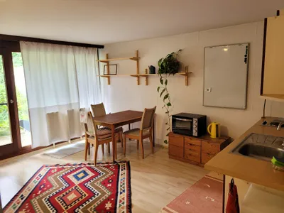 1-Zimmer-Wohnung mieten in Graz – 33 m², € 410