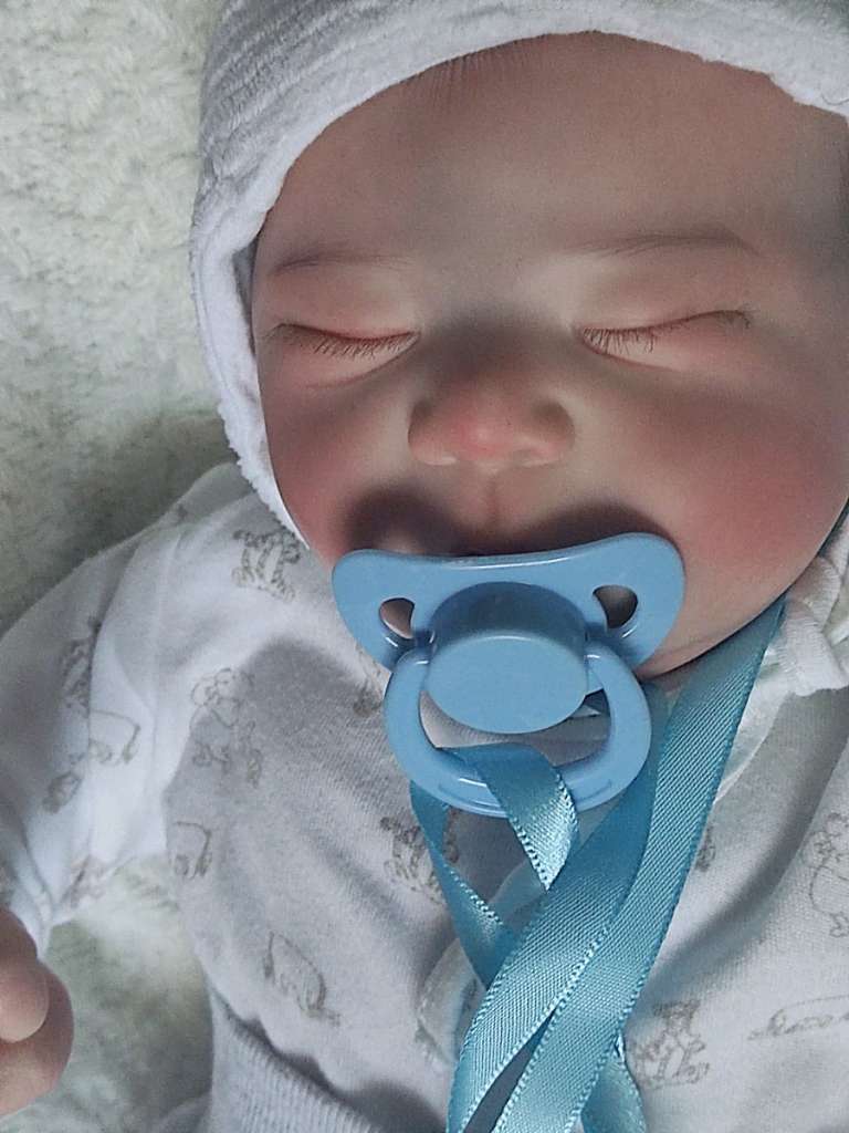 Reborn baby hotsell dolls