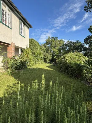 6-Zimmer-Gewerbeimmobilie kaufen in Tulln – 117 m², € 875.000 – Bild 6 von 36