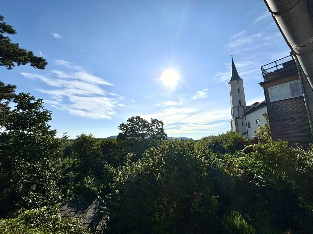 Privatverkauf: geschichtsträchtiges Haus im Martinsviertel Klosterneuburg - 1.711 m² Grundstück (1.119 m² Baugrund) mit Panorama-Fernblick - bis zu 6 Einheiten möglich - Ansicht 3