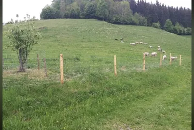 Immobilie mieten in Wolfsberg – 35 000 m² – Bild 7 von 16
