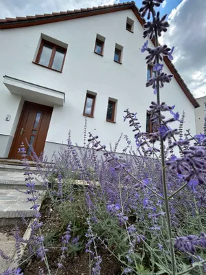 Haus mieten in Sankt Pölten – 134 m², € 2.000 – Bild 2 von 23
