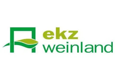 Gewerbeimmobilie mieten in Leibnitz – 250 m² – Bild 2 von 2