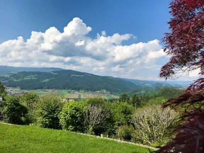 8-Zimmer-Haus kaufen in Voitsberg – 500 m², € 990.000 – Bild 7 von 17
