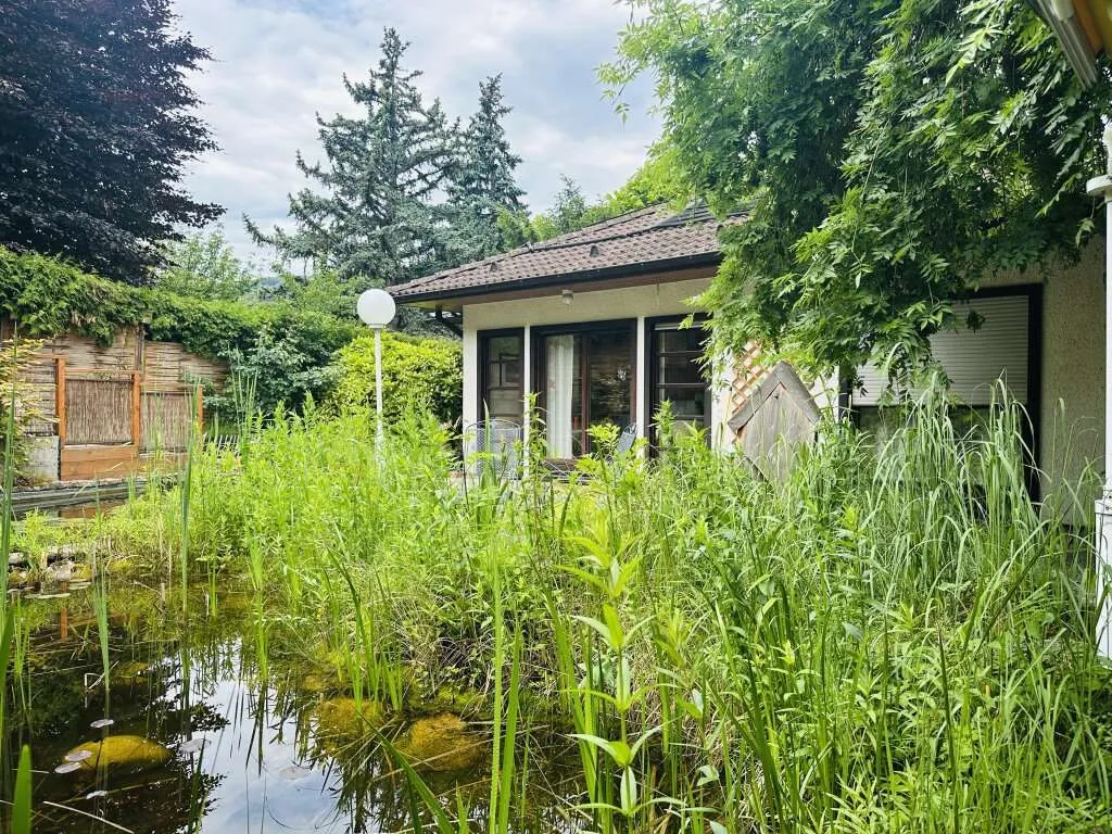 Unterkellertes Einfamilienhaus mit Schwimmteich in ruhiger Villenlage - Vista 3