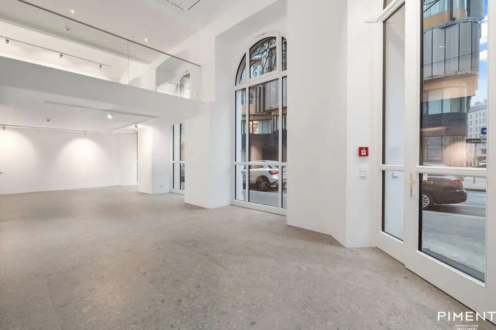 BÜRO-/GESCHÄFTSFLÄCHEN - AM WERDERTOR - Ansicht 2
