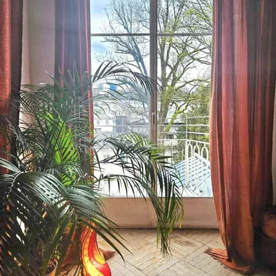 1-Zimmer-Gewerbeimmobilie mieten in Salzburg Stadt – 35 m², € 225 – Bild 2 von 7