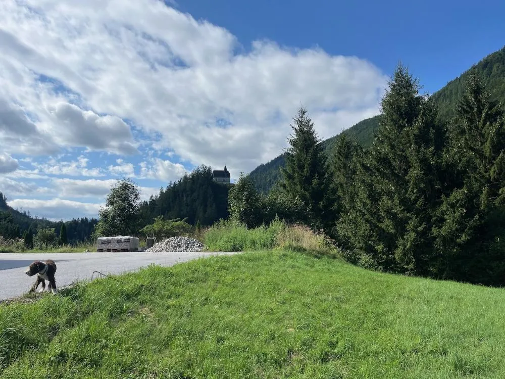 MARIAZELLER LAND - Grundstück mit Blick auf Mariazell und unsere Basilika! - Ansicht 3