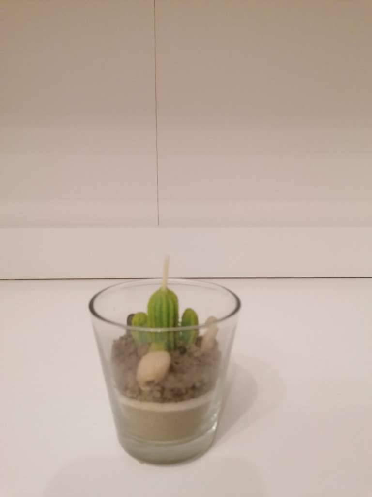Deko Kerze Kaktus,  1,- (1100 Wien) - willhaben