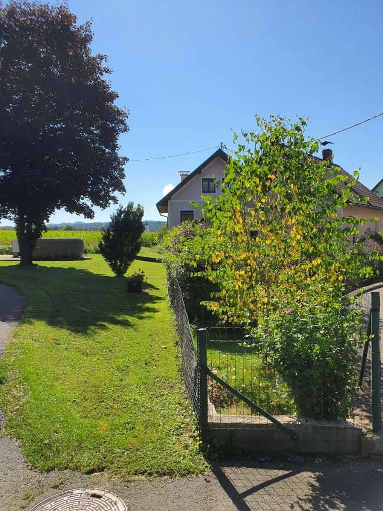 WER BRAUCHT VIEL PLATZ - Geräumige Liegenschaft mit gleich 2 soliden Wohnhäusern in Ruhelage (2363) - Ansicht 2