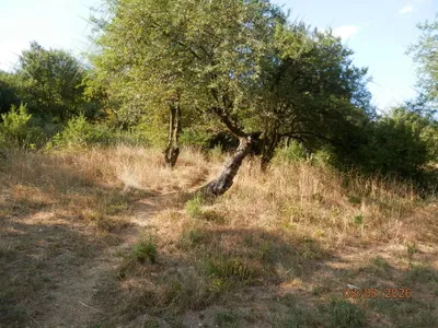 Immobilie mieten in Wien – 25 m², € 350 – Bild 14 von 14