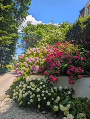6-Zimmer-Haus kaufen in Sankt Pölten Land – 179,64 m², € 1.690.000 – Bild 32 von 55