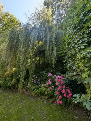 6-Zimmer-Haus kaufen in Sankt Pölten Land – 179,64 m², € 1.690.000 – Bild 38 von 55