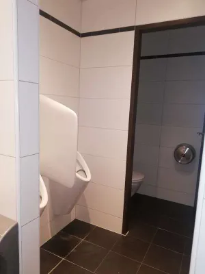 Immobilie mieten in Wiener Neustadt – 200 m², € 1.790 – Bild 9 von 11