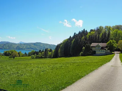 6-Zimmer-Haus kaufen in Vöcklabruck – 280 m², € 990.000 – Bild 6 von 6
