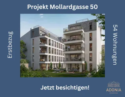 3-Zimmer-Wohnung mieten in Wien – 81,13 m², € 2.399 – Bild 22 von 38